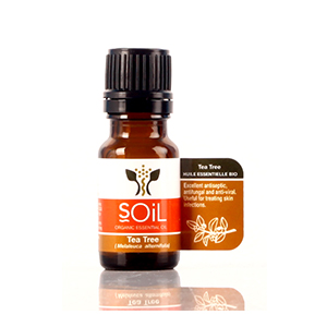 SOil - Tea Tree Organic Essential Oil