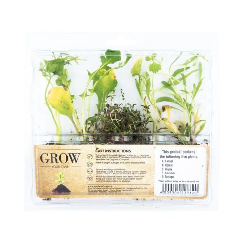 Grow-your-own-herb-mix (vanaf R39-99) Woolworths