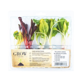 Grow-your-own-leaf-mix (vanaf R39-99) Woolworths