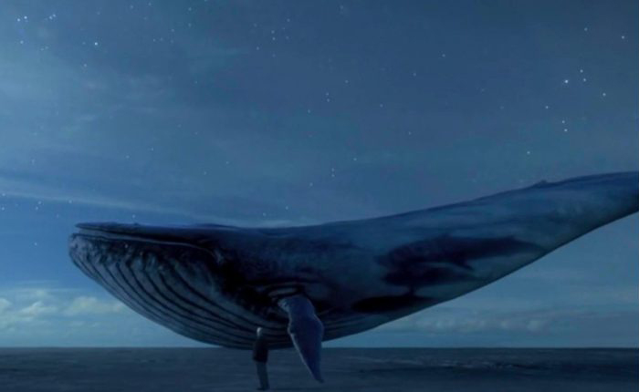 Blue-Whale-app