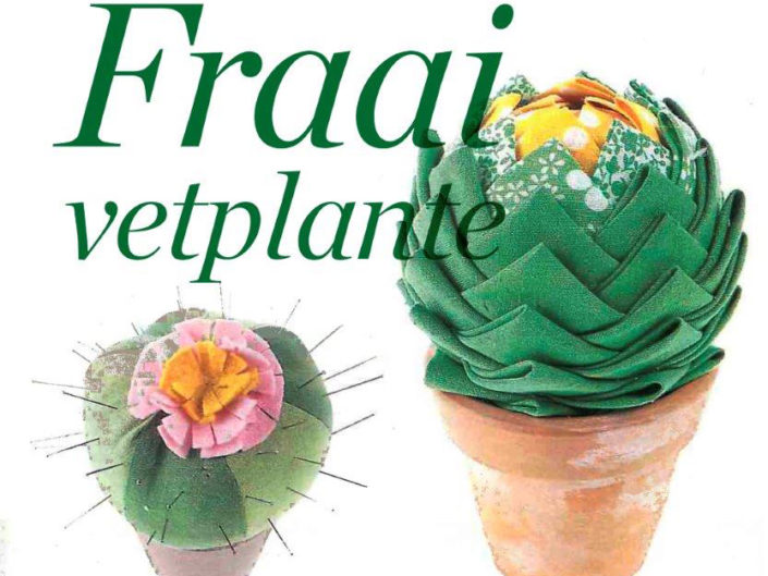 Fraai-vetplante