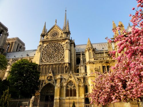 Wêreld rou saam oor die ikoniese Notre-Dame katedraal