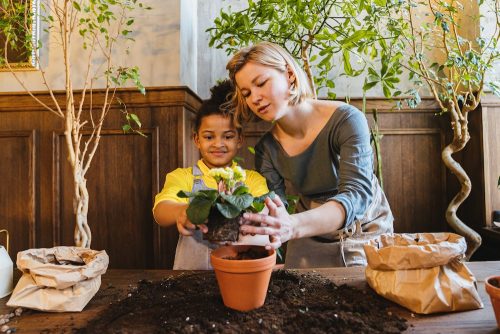 maak jou kind groen groot foto antoni shkraba vir Pexels